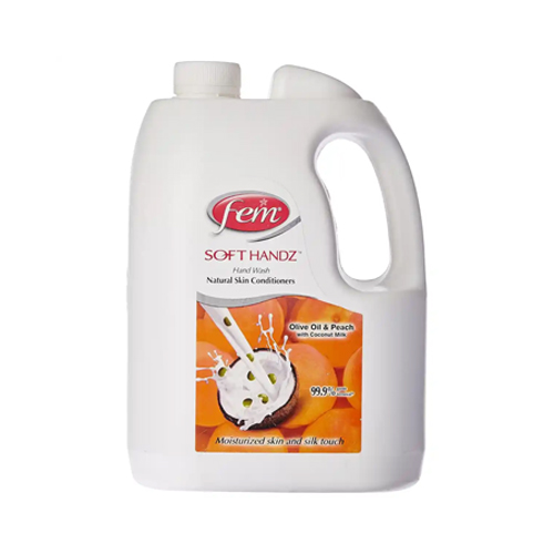 Hand Wash - Fem